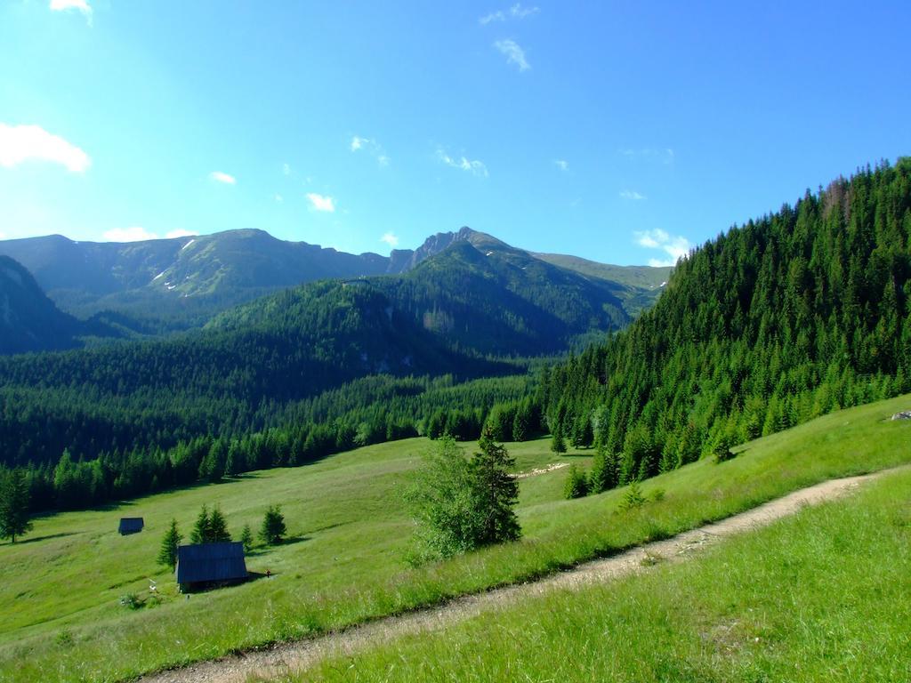 Hotel Gorski Kalatowki Закопане Экстерьер фото